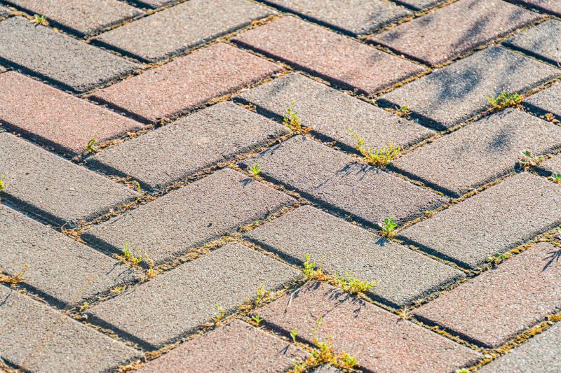 Brick Hardscape Installation detail